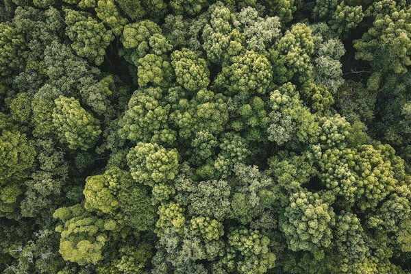 Décoration d'intérieur LGBTQ+ : idées et inspirations